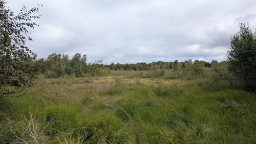 Rund um das Wittmoor
