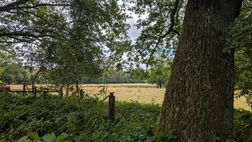 Rund um das Wittmoor