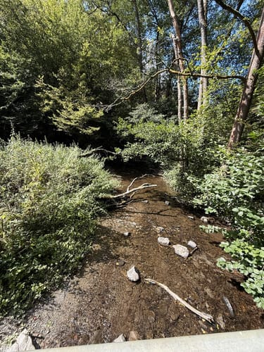 Geierlayschleife (Premiumwanderweg)