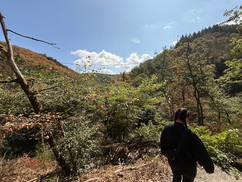 Geierlayschleife (Premiumwanderweg)