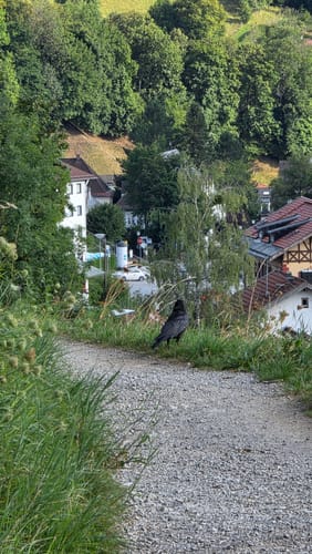 Tegernsee - Neureuth - Gindelalm - Kreuzbergalm