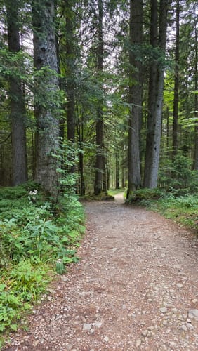 Tegernsee - Neureuth - Gindelalm - Kreuzbergalm