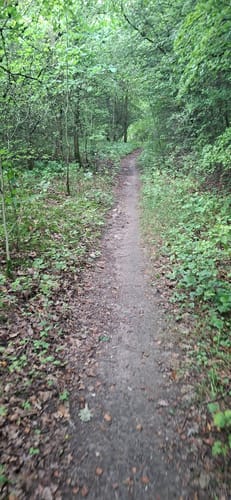 Neumühler See