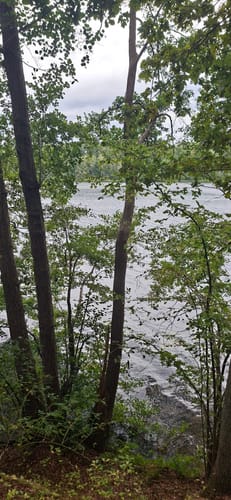 Neumühler See