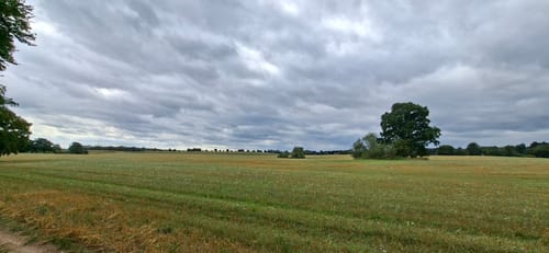 Neumühler See
