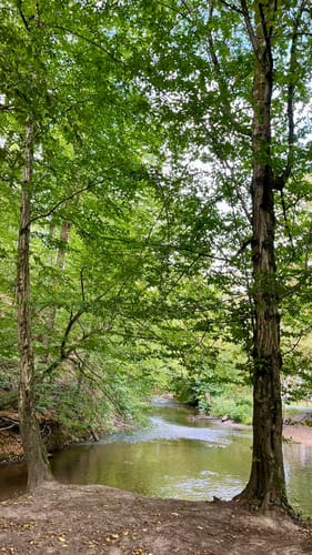 Odenthal Rundweg A4