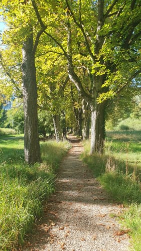 Kaiserstuhlpfad