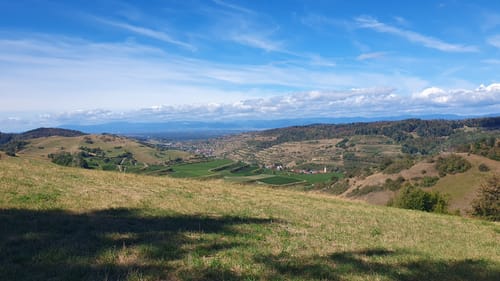 Kaiserstuhlpfad