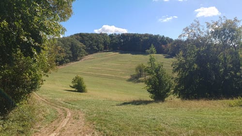 Kaiserstuhlpfad