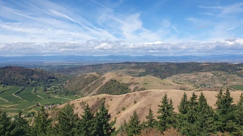 Kaiserstuhlpfad