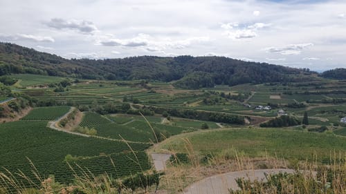 Kaiserstuhlpfad