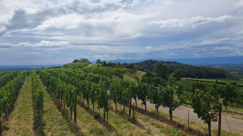 Kaiserstuhlpfad