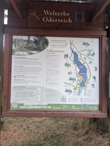 Oderteich - Wolfswarte - Torfhaus