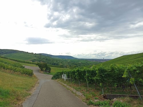 Strümpfelbacher Skulpturenpfad Nuss