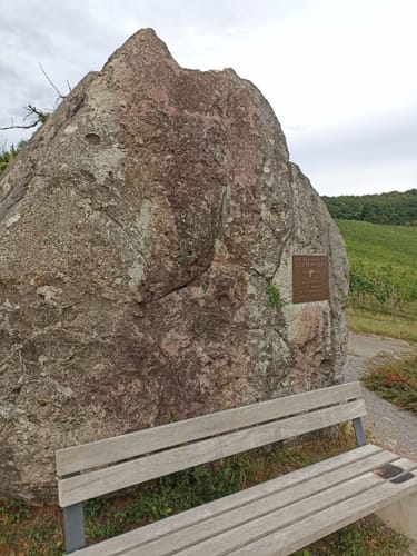 Strümpfelbacher Skulpturenpfad Nuss