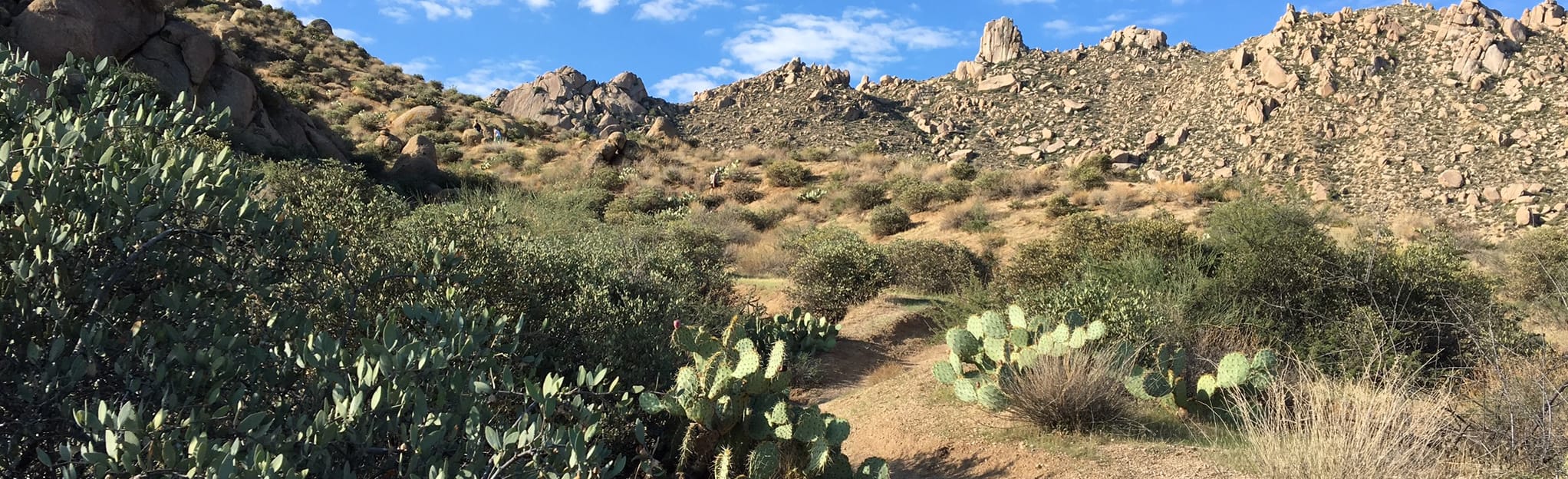 Tom's Thumb, Feldspar, and Mesquite Canyon Trails, Arizona 120 Reviews, Map AllTrails