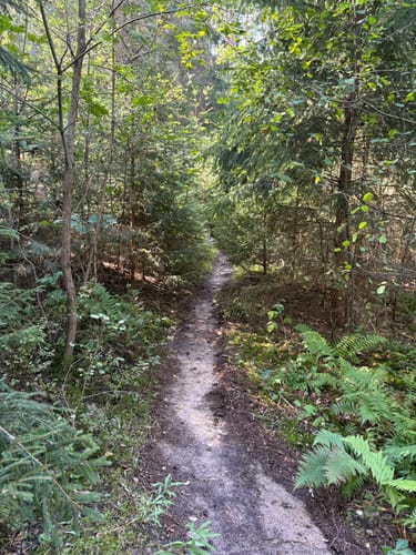 Burgwaldpfad (Fernwanderweg)
