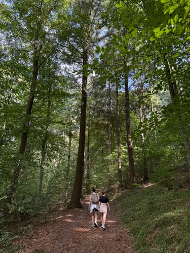 Philosophenweg - Heiligenbergweg - Odenwälder Weg
