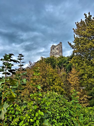 Traumhafte Siebengebirgsrunde mit Löwenburg und Drachenfels