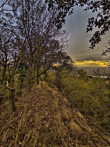 Traumhafte Siebengebirgsrunde mit Löwenburg und Drachenfels