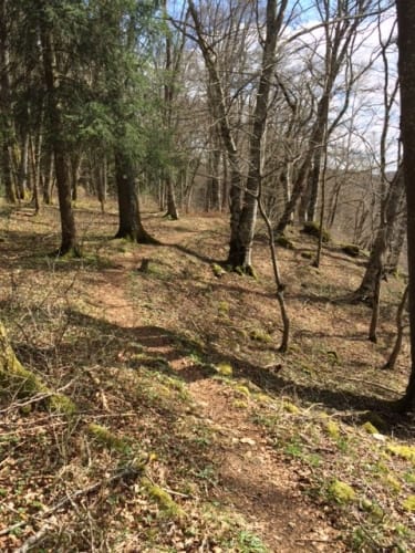 MTB-Tour im Lauchertal bei Gammertingen