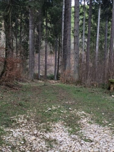 MTB-Tour im Lauchertal bei Gammertingen