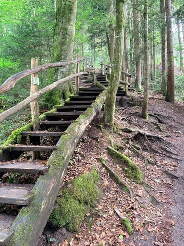 Hörbachschlucht Murrhardt