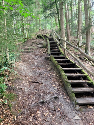 Hörbachschlucht Murrhardt