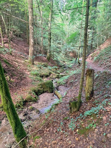 Hörbachschlucht Murrhardt
