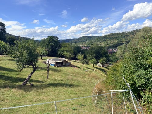 Hörbachschlucht Murrhardt