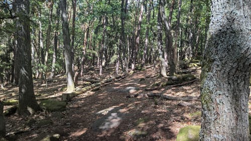 Kaltenbrunnertal zur Kalmit