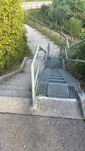 Kleine Auwaldwanderung