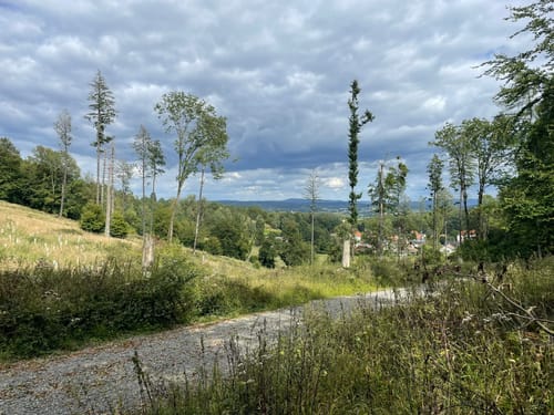 Externsteinen und Falkenburg Rundwanderung