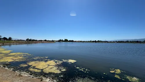 5 best trails with scenic views in Mountain View | AllTrails