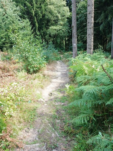 Hüggel Runde zum Silbersee