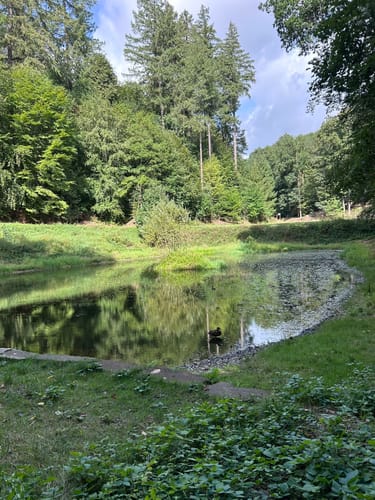 Karlsberg-Runde