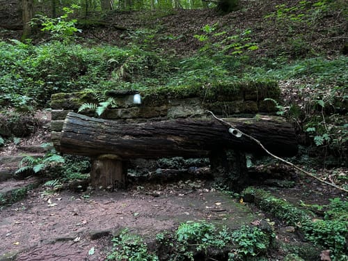 Karlsberg-Runde