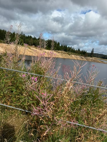 Rundwanderweg Oderteich