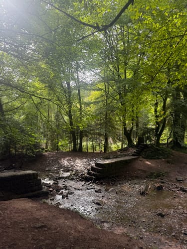 Durch die Monbachtal-Schlucht