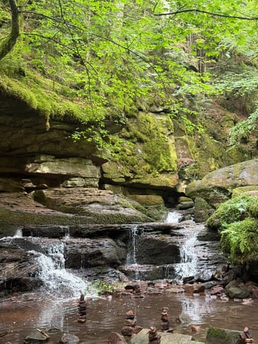 Durch die Monbachtal-Schlucht