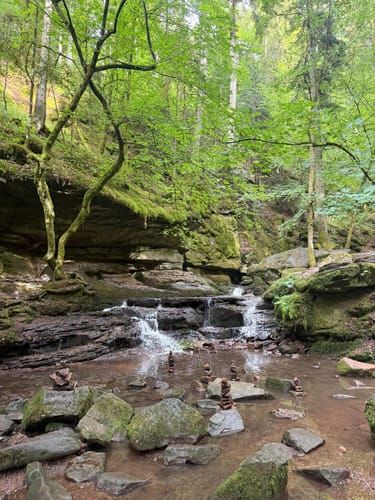 Durch die Monbachtal-Schlucht