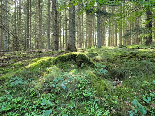 An der Wasserscheide