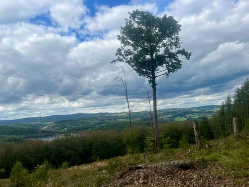 Zwei-Burgen-Weg Attendorn