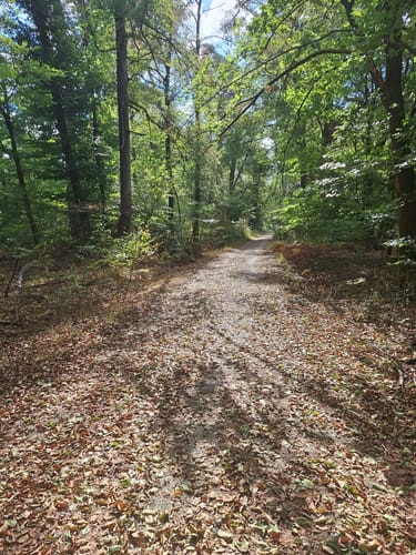 Hoher Berg Rundweg