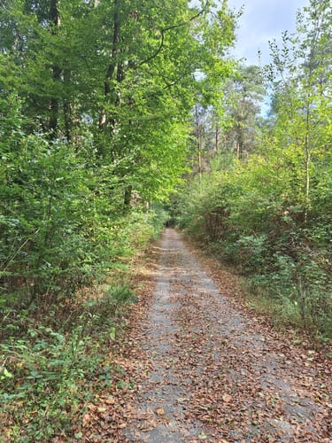 Hoher Berg Rundweg
