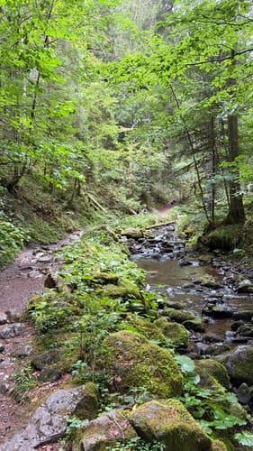 Der Ravennaschlucht Weg