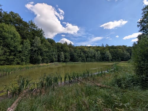 Siebenhügelweg