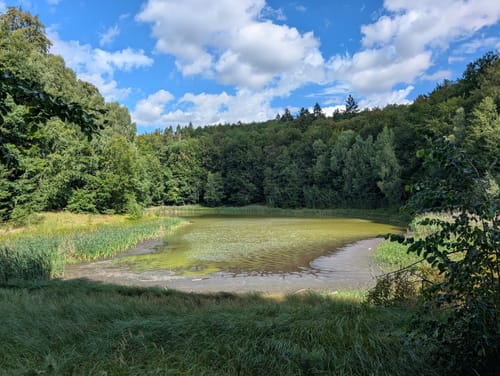 Siebenhügelweg