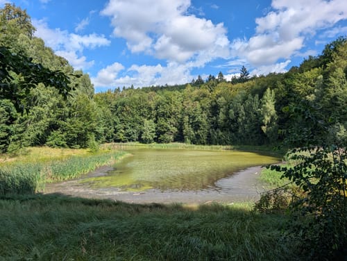 Siebenhügelweg