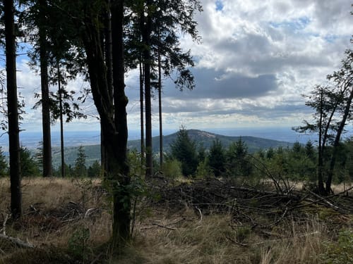 Auf den Großen Feldberg